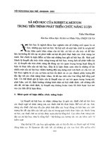 Xã hội học của Robert.K.Merton trong tiến trình phát triển chức năng luận