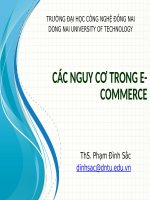 Bài giảng môn thương mại điện tử Các nguy cơ trong e-commerce