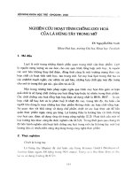 Nghiên cứu hoạt tính chống oxy hóa của lá húng tây trong mỡ