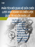 PHÂN TÍCH MỐI QUAN HỆ GIỮA CHIẾN LƯỢC KINH DOANH VÀ CHIẾN LƯỢC QUẢN TRỊ NGUỒN NHÂN LỰC