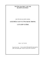 Giải phẫu gan và ứng dụng trong cắt lớp vi tính