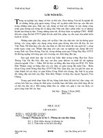 Thiết kế cầu vượt sông trên đường ô tô