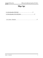 bài tiểu luận dân số