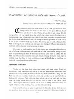 Phân công lao động và phối hợp trong tổ chức