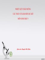 mối quan hệ giữa gen và arn