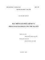 Đặc điểm giải phẫu bệnh và  phân loại giai đoạn ung thư dạ dày