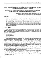 Tách tinh dầu và nâng cao hàm lượng citronellal trong cây sả cymbopogon nardus (l) rendle