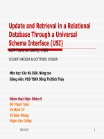 Update and retrieval in a relational database through a universal schema interface (USI)