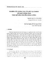 Nghiên cứu tương tác của bức xạ GAMMA với nhũ tương ảnh theo mô hình truyền năng lượng
