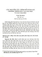 Các nguyên tắc chính để đánh giá chương trình đào tạo đại học và sau đại học