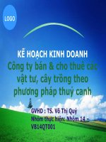 KẾ HOẠCH KINH DOANH Công ty bán & cho thuê các vật tư, cây trồng theo phương pháp thuỷ canh