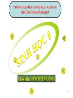 Giáo án sinh học 8 bài đại não bồi dưỡng thao giảng thi giáo viên giỏi tham khảo (14)