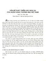 Vấn đề phát triển các dịch vụ của Ngân hàng thương mại Việt Nam