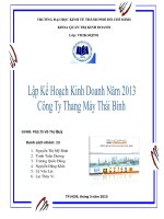 Lập kế hoạch kinh doanh cho năm 2013 công ty thang máy thái bình