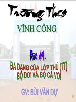 Giáo án bồi dưỡng sinh học 7 thao giảng, thi giáo viên giỏi Bộ rơi và bộ cá voi (4)