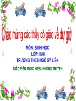 Giáo án sinh học 8 bài đại não bồi dưỡng thao giảng thi giáo viên giỏi tham khảo (16)