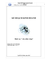 Tiểu luận môn lập kế hoạch kinh doanh Dịch vụ cây nấm vàng