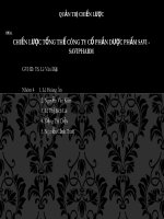 CHIẾN LƯỢC TỔNG THỂ CÔNG TY CỔ PHẦN DƯỢC PHẨM SAVI - SAVIPHARM