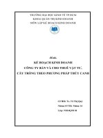 KẾ HOẠCH KINH DOANH Công ty bán & cho thuê các vật tư, cây trồng theo phương pháp thuỷ canh