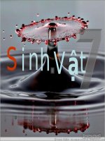 Giáo án bồi dưỡng sinh học 7 thao giảng, thi giáo viên giỏi Bộ rơi và bộ cá voi (1)