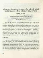Sử dụng hệ thống lọc qua hào đất đế xử lý nước thải có nồng độ chất hữu cơ cao