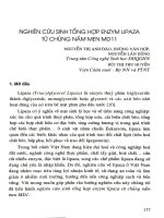 Nghiên cứu sinh tổng hợp Enzym Lipaza từ chủng nấm men MD 11