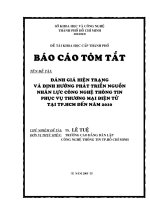 Đánh giá hiện trạng và định hướng phát triển nguồn nhân lực công nghệ thông tin phục vụ thương mại điện tử tại Tp.HCM