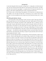 Tiểu luận thực trạng và giải pháp nâng cao chất lượng nguồn nhân lực việt nam