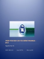Tiểu luận phân tích báo cáo tài chính năm 2013 của Tổng Công Ty Vinamilk