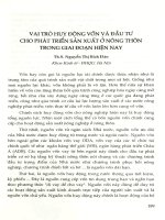 Vai trò huy động vốn và đầu tư cho phát triển sản xuất ở nông thôn trong giai đoạn hiện nay