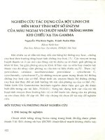 Nghiên cứu tác dụng của bột linh chi đến hoạt tính một số enzym của máu ngoại vi chuột nhắt trắng Swiss khi chiếu xạ tia gamma