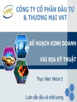 LẬP KẾ HOẠCH KINH DOANH XÂY DỰNG NHÀ MÁY SẢN XUẤT VẢI ĐỊA KỸ THUẬT VKT