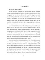 Những giải pháp hoàn thiện hệ thống kênh phân phối sản phẩm của Công ty cổ phần tập đoàn Vit