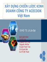 XÂY DỰNG CHIẾN LƯỢC KINH DOANH CÔNG TY ACECOOK Việt Nam