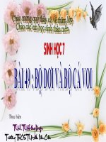 Giáo án bồi dưỡng sinh học 7 thao giảng, thi giáo viên giỏi Bộ rơi và bộ cá voi (7)