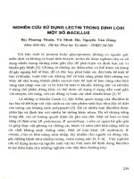 Nghiên cứu sử dụng lectin trong định loại một số Bacillus