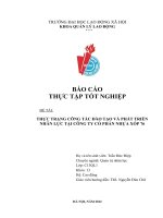 Báo cáo thực trạng công tác đào tạo và phát triển nhân lực tại công ty cổ phần nhựa xốp 76
