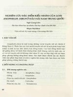 Nghiên cứu đặc điểm kiểu nhân của loài Anopheles. Dirus ở đảo Hải Nam Trung Quốc