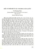 Đầu tư nội bộ ở các Chaebol Hàn Quốc