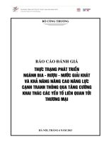 báo cáo đánh giá thực trạng phát triển nghành bia rượu nước giải khát và khả năng nâng cao năng lực cạnh tranh thông qua tăng cường khai thác các yếu tố liên quan tới thương mại