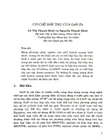 Cơ chế hấp thụ của GaN Zn