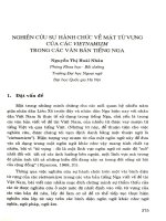 Nghiên cứu sự hành chức về mặt từ vựng của các Vietnamizm trong các văn bản tiếng Nga