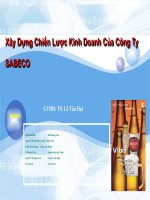 Xây Dựng Chiến Lược Kinh Doanh Của Công Ty SABECO