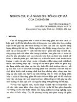 Nghiên cứu khả năng sinh tổng hợp IAA của chủng RH