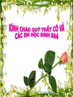 Giáo án sinh học 8 bài đại não bồi dưỡng thao giảng thi giáo viên giỏi tham khảo (6)