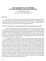 Bảo vệ quyền và vì sự tiến bộ của phụ nữ trong pháp luật Viêt Nam