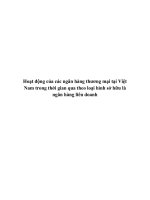 Tiểu luận hoạt động của các ngân hàng liên doanh tại việt nam trong những năm qua   tài liệu, ebook, giáo trình