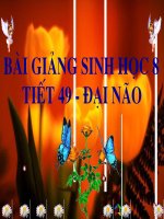 Giáo án sinh học 8 bài đại não bồi dưỡng thao giảng thi giáo viên giỏi tham khảo (11)