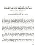 Phác thảo chân dung tâm lý - xã hội của người phụ nữ nông thôn bán hàng rong trên đường phố Hà Nội