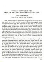 Sự hoạt động lệch pha trên thị trường chứng khoán Việt Nam